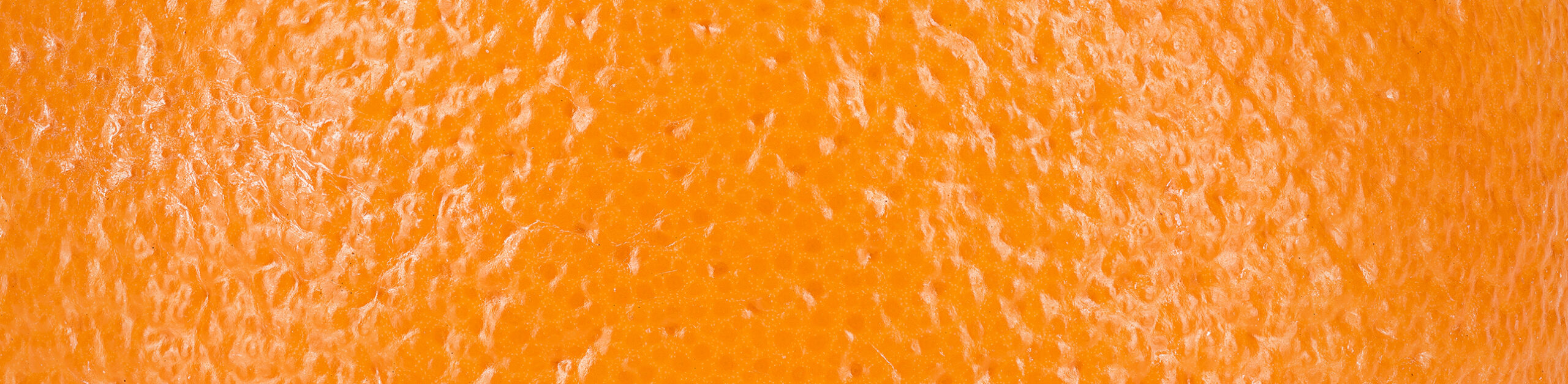 FRUIT&TECH. Fruits