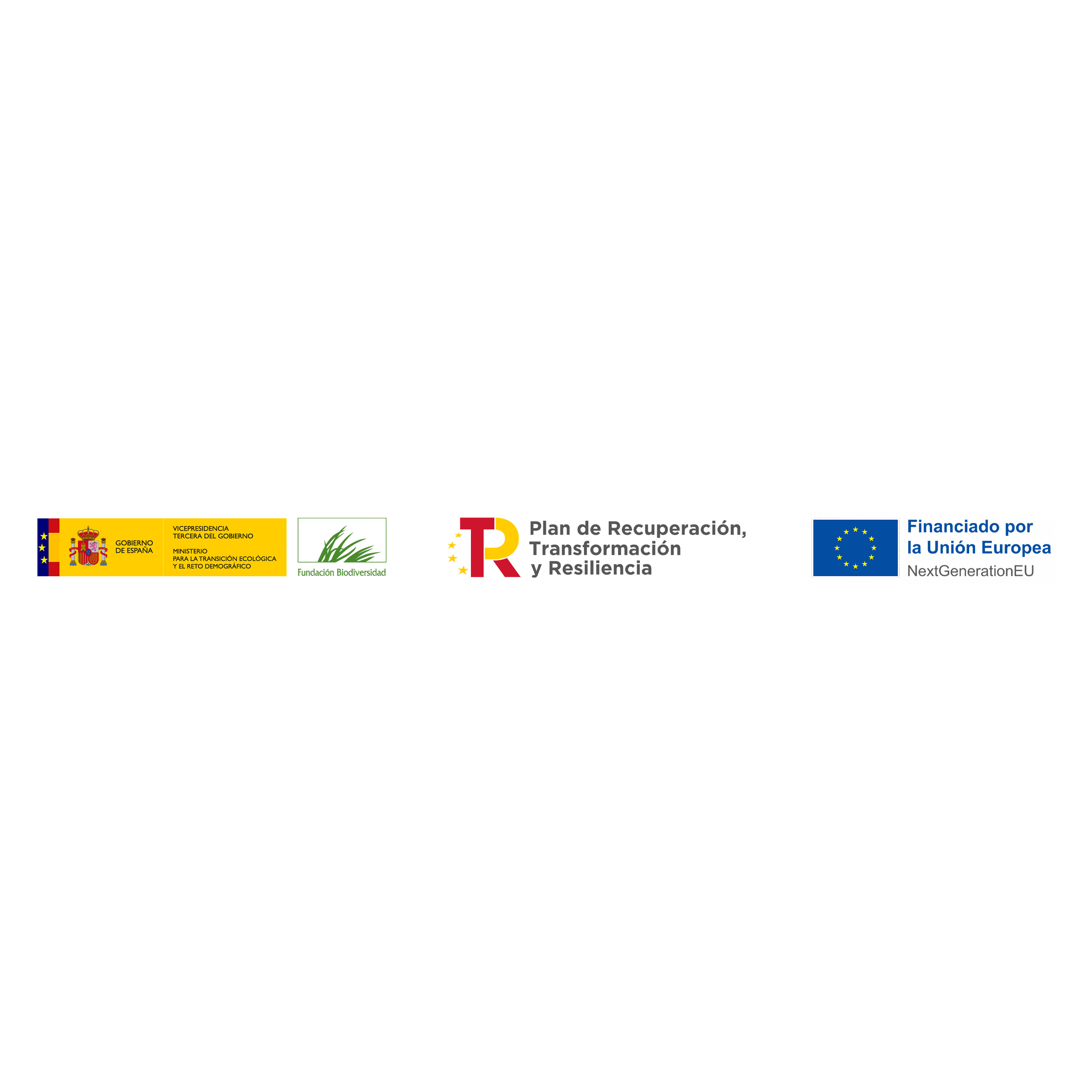 https://fruitandtech.com/wp-content/uploads/2026/06/Web_bandera-cantina_2.jpg